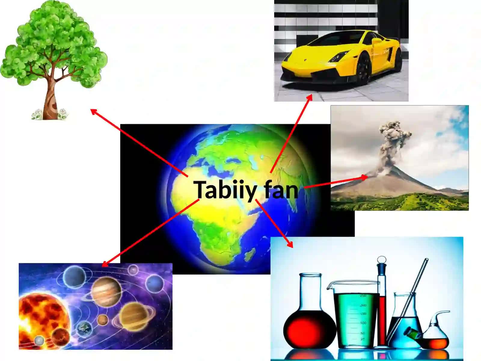 6-sinf Tabiiy fan Harakat turlari mavzusida ochiq dars ishlanma 3