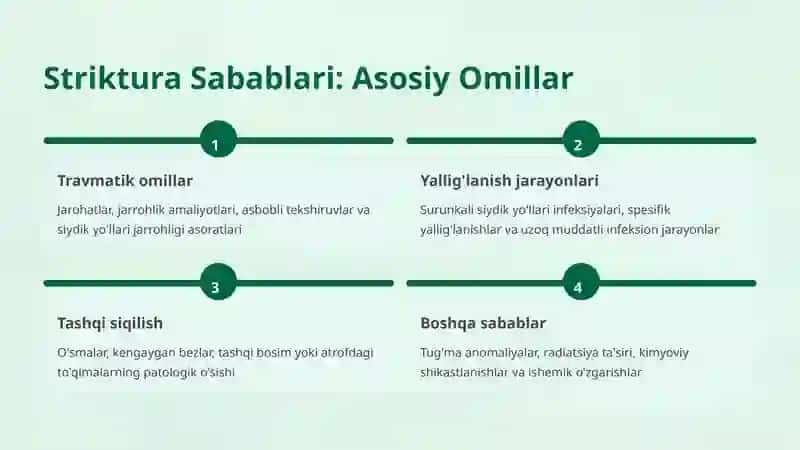 Siydik Yo'llari Strikturasi va Ularning Oqibatlari 3
