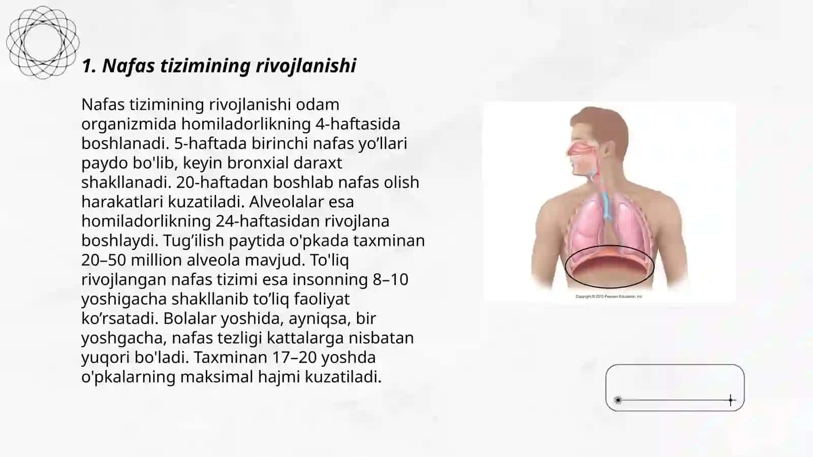 Nafas tizimining yoshga doir fiziologiyasi va gigiyenasi 3