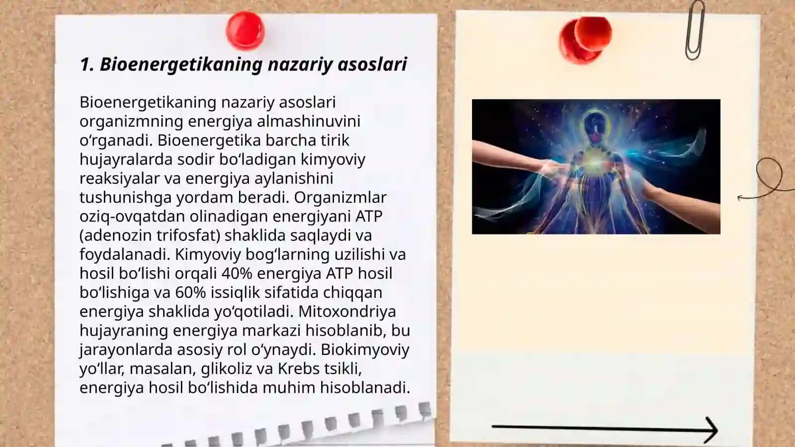 Bioenergetika 3