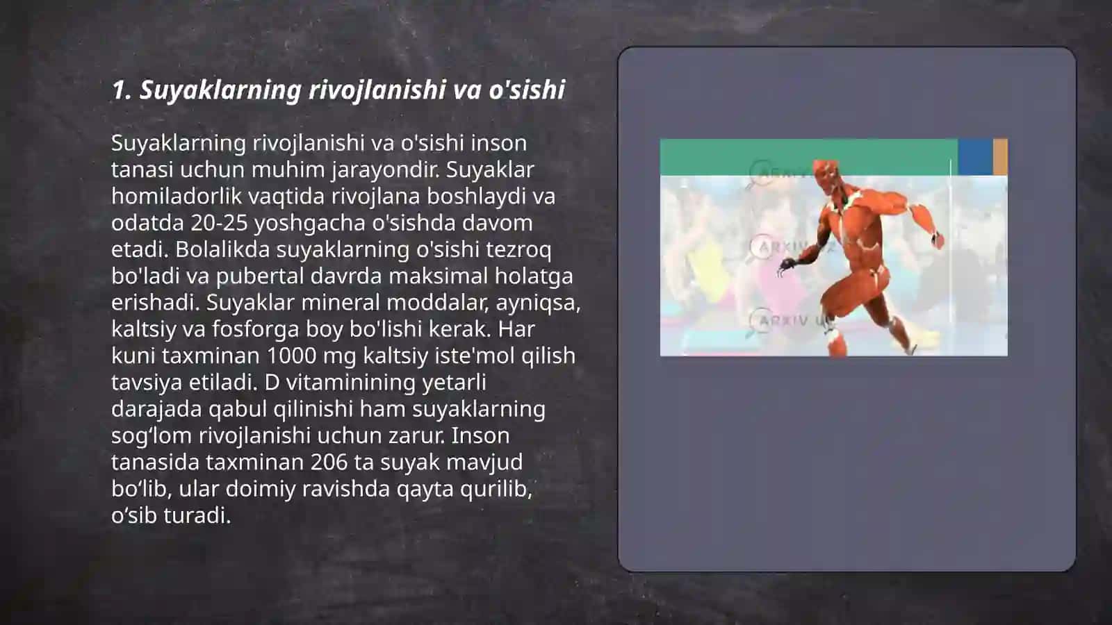 Organizmdagi suyaklarning yosh xususiyatlari va xillari 3