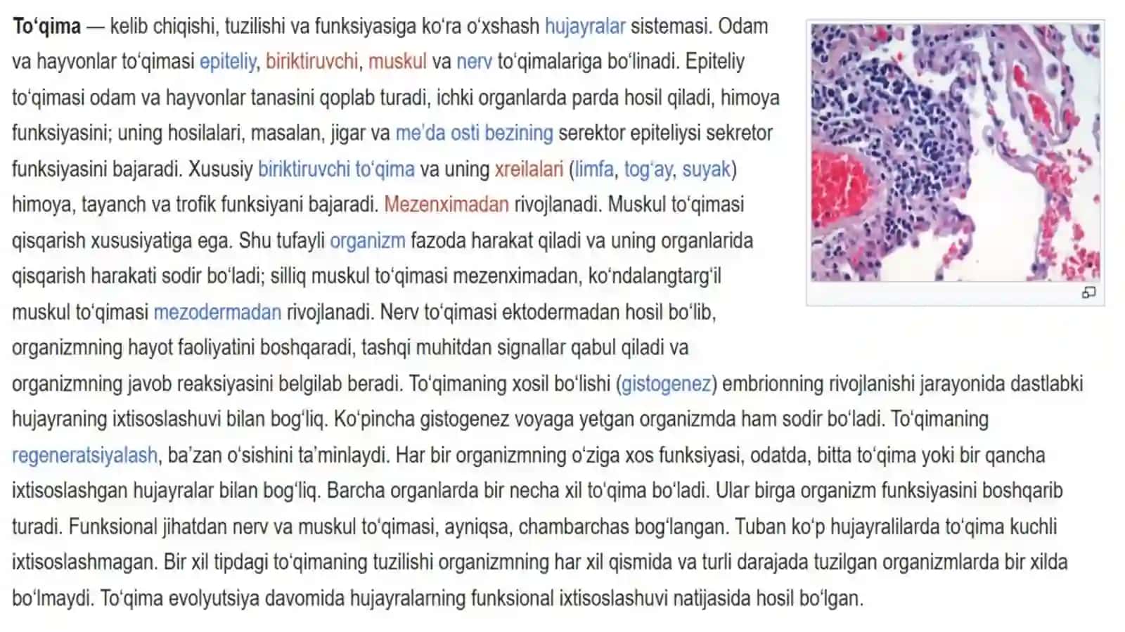 KopTarmoqli Tibbiyot Texnikumi Hamshiralikishiyonalishi114-guruhtalabasi 3