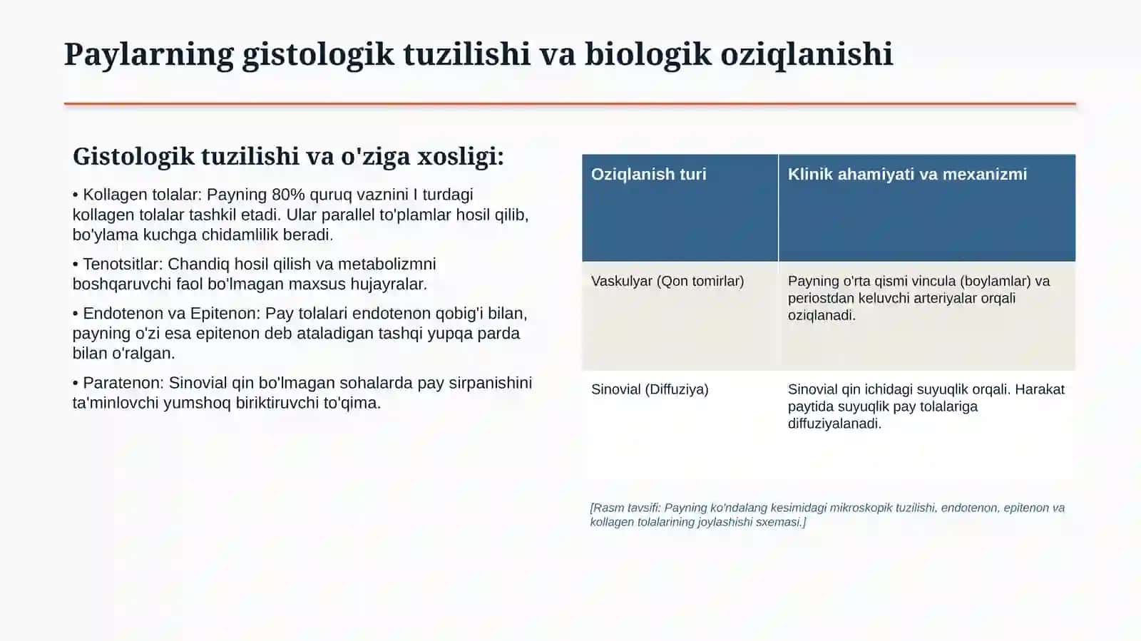 Qo‘l-oyoq barmoqlari paylari shikastlanishlari | 15 slaydli tibbiy taqdimot 3