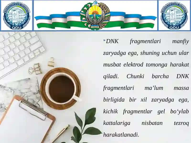 Gelelektroforezo'tkazish vanatijalarni gel hujjatlashtiruvchi sistemada analiz qilish 3