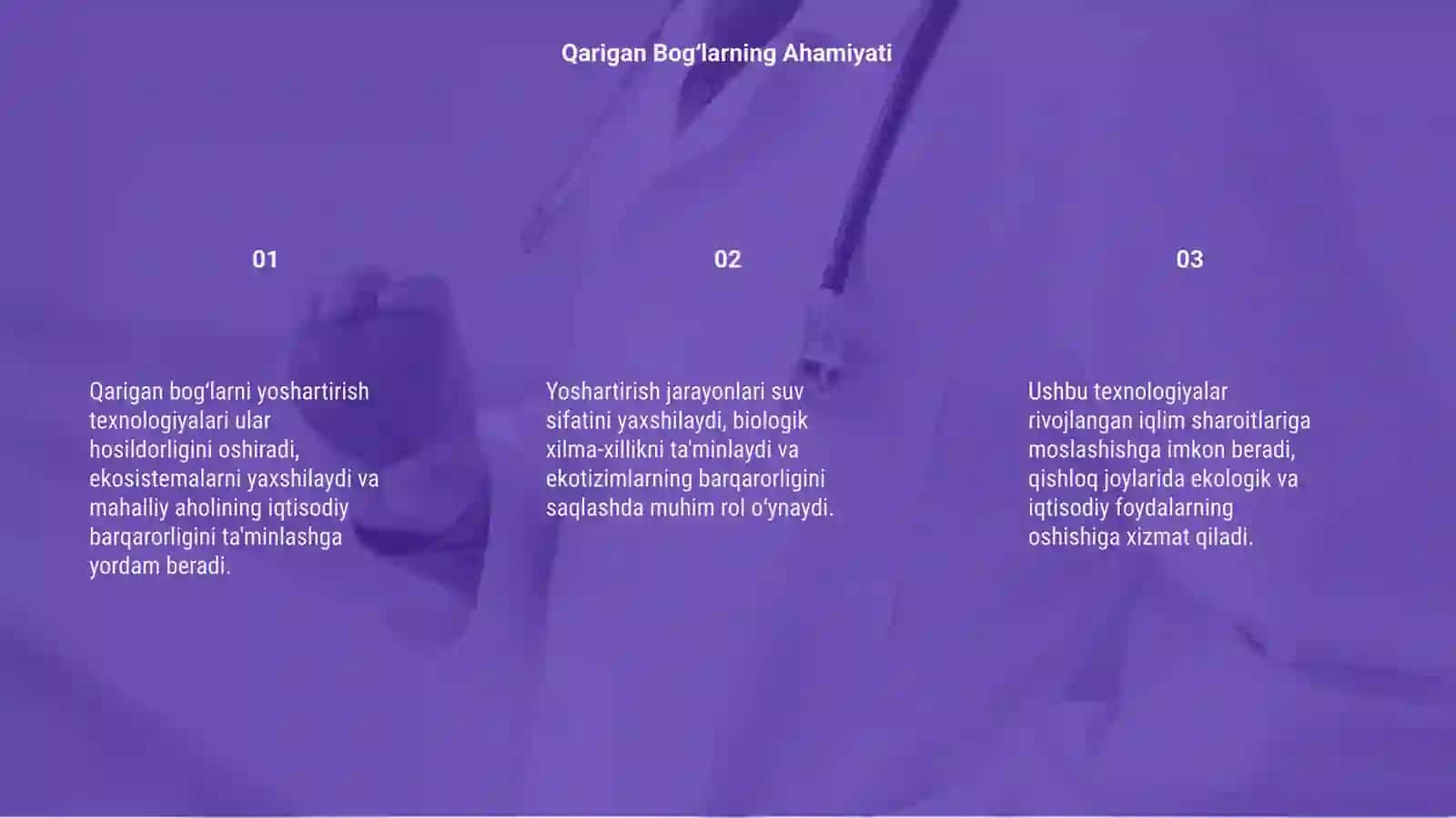 Qarigan bogʻlarni yoshartirish texnologiyasi 3