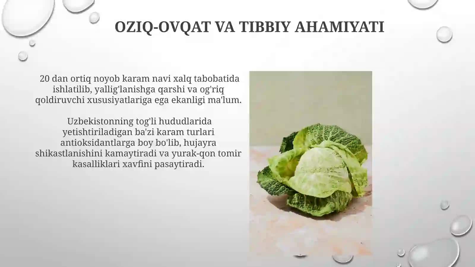 Noyob karam navlari 3