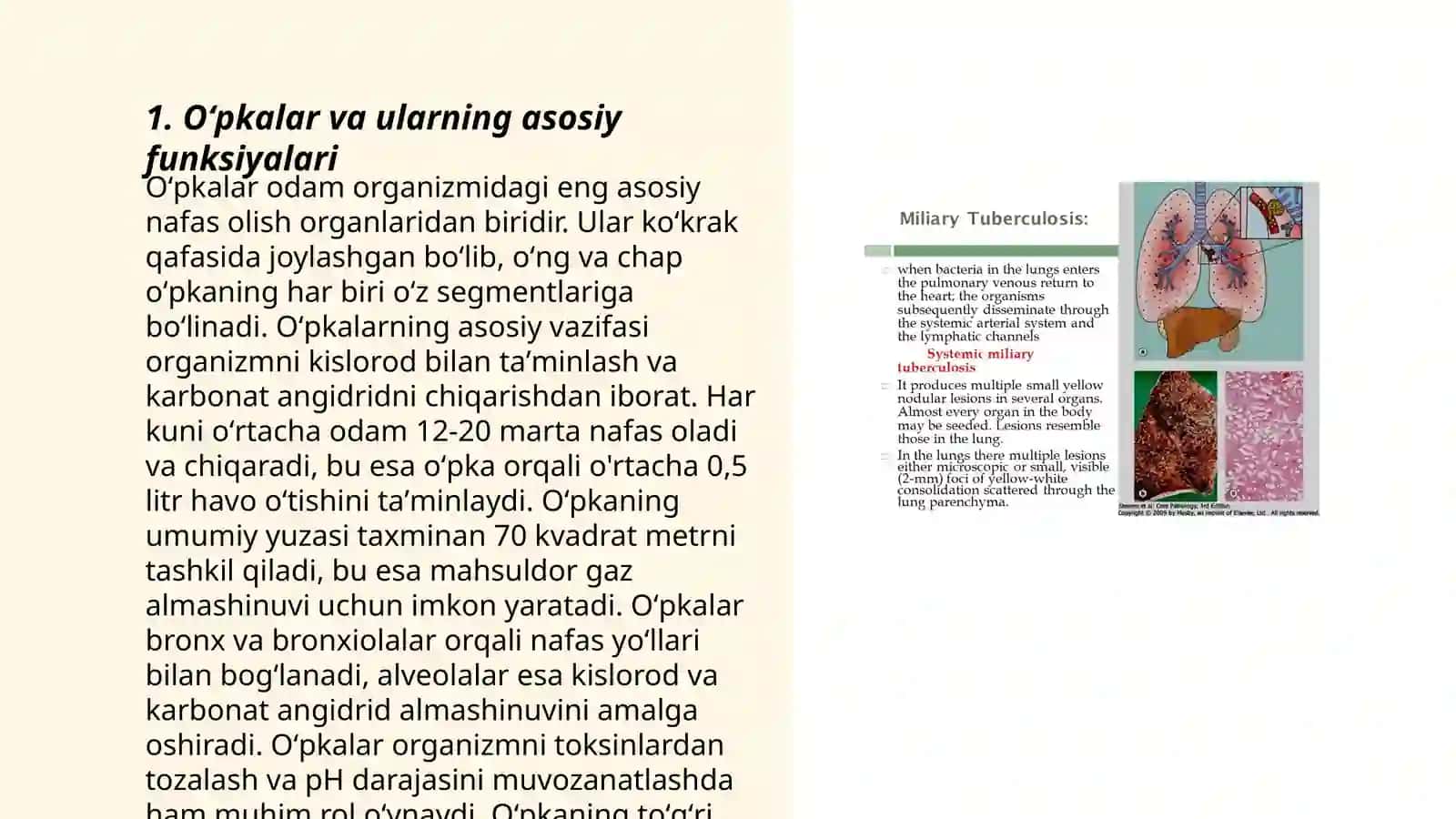 Oʻpkaning funksional morfologiyasi. Zamonaviy sharoitda oʻpka tuberkulyozining morfologik koʻrinishi 3