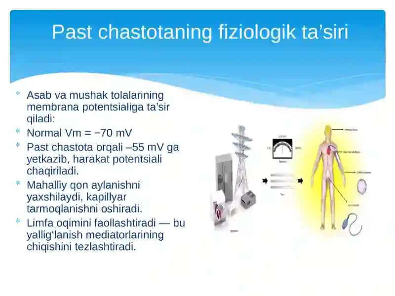 PAST CHASTOTALI FIZIOTERAPEFTIK APARATLAR 3