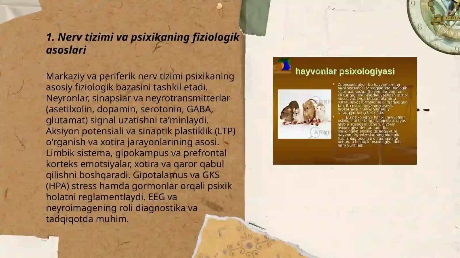 Psixikaning nerv fiziologik asoslari 3