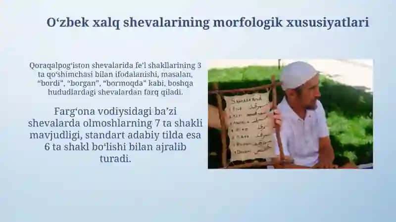 Oʻzbek xalq shevalari morfologiyasi 3