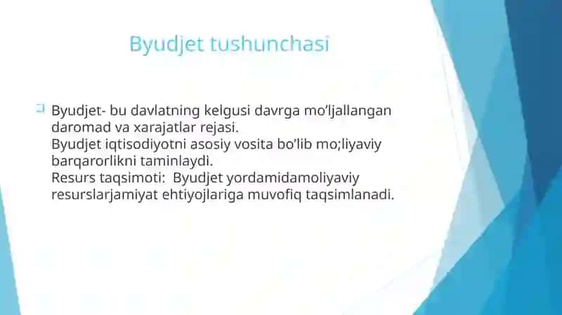 Davlat byudjetining mohiyati va ahamiyati 3