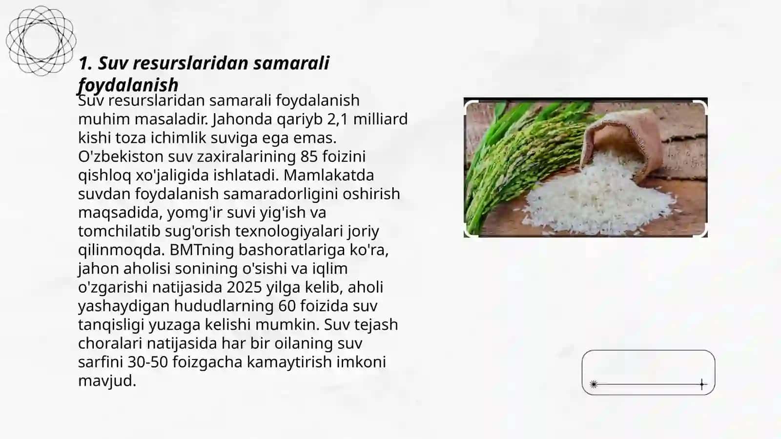 Sholi hosildorligini oshirishning intensiv yo'llari 3
