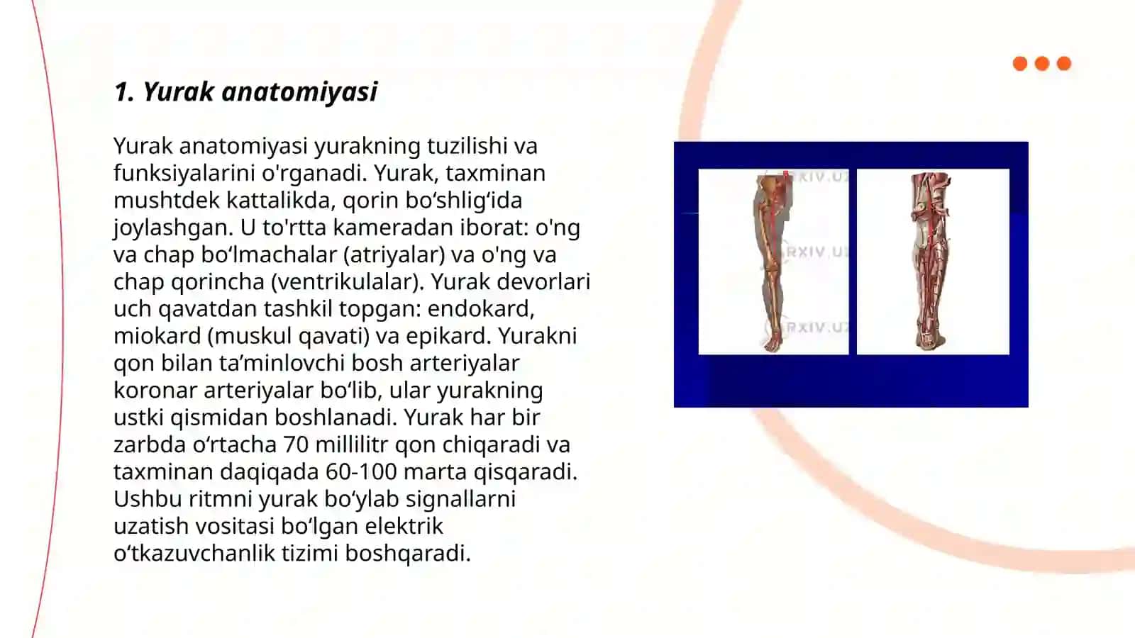 Yurak qon tomir sistemasi 3