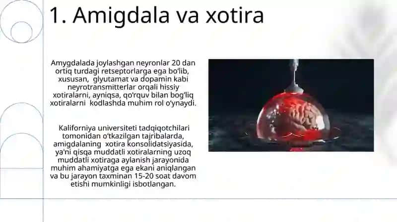 Xotira haqida umumiy tasavvurlar 3