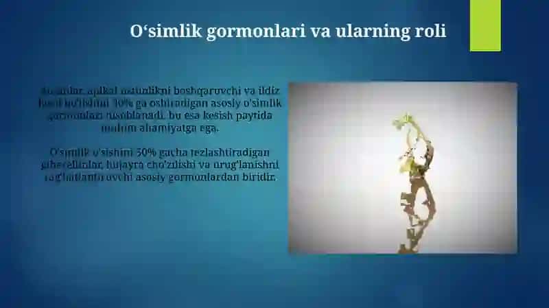 Oʻsimliklarning oʻsishi va rivojlanishi 3