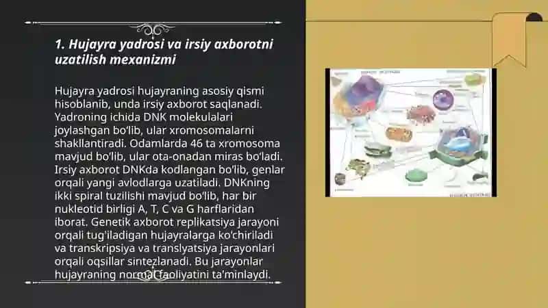 Hujayra yadrosi va irsiy axborotni uzutilish mexanizmi. 3