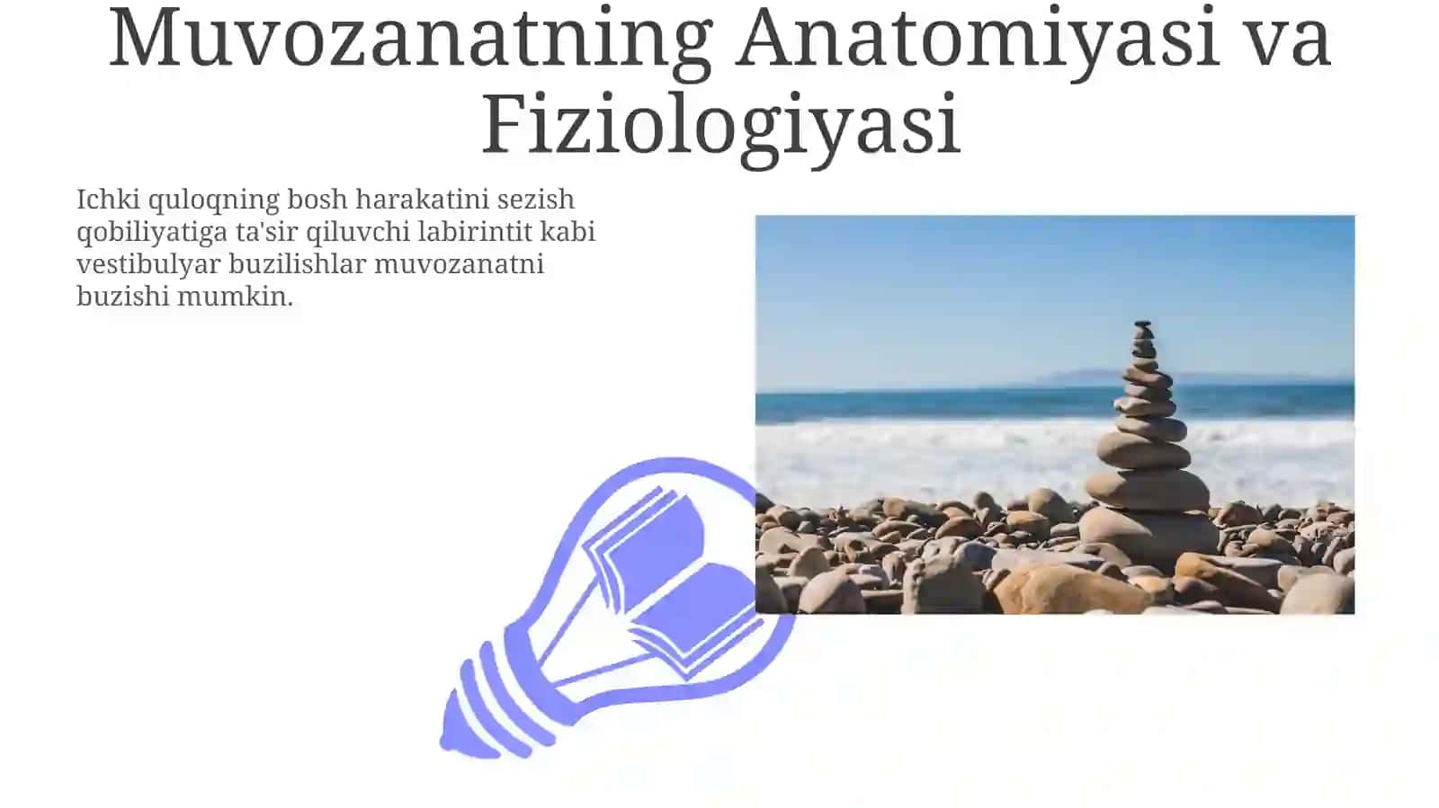Muvozanatning Anatomiyasi va Fiziologiyasi 3