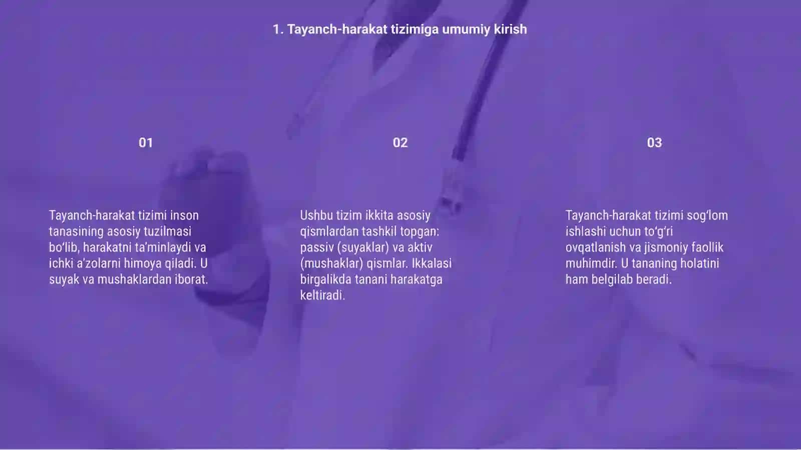 Tayanch Harakat Sistemasi 3