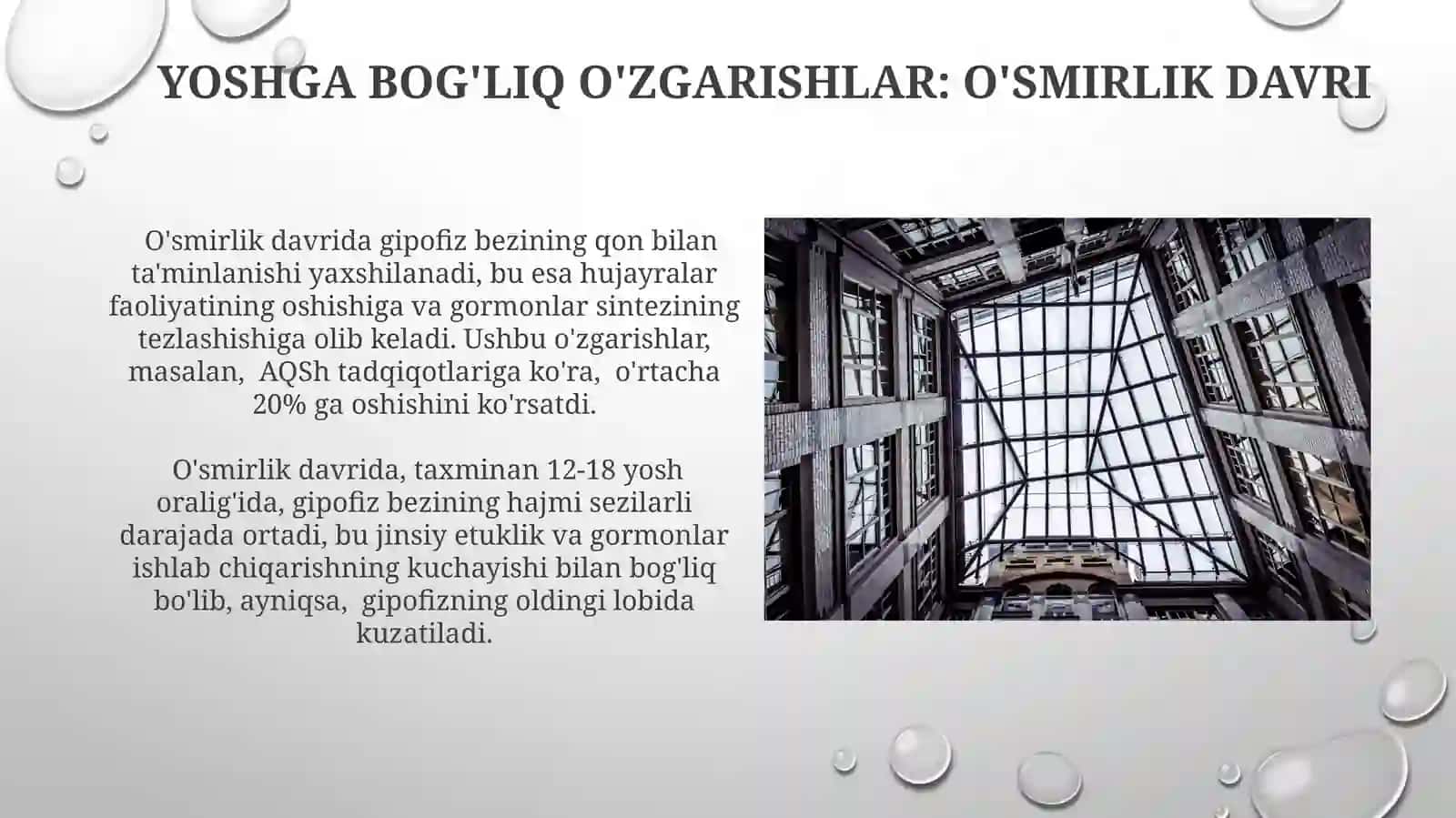 Gipofiz bezining tuzilishi va yosh xususiyatlari 3