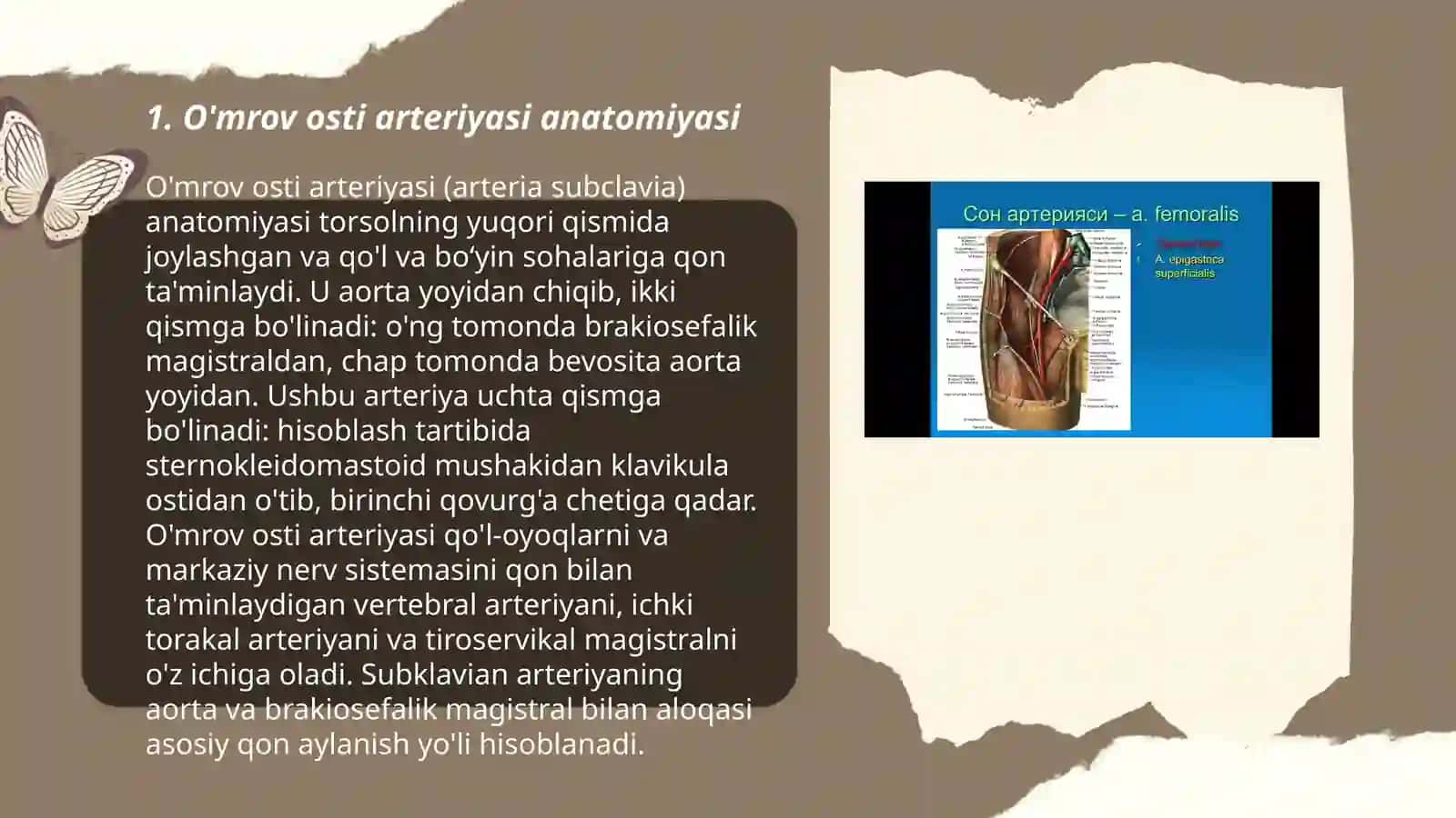 O’mrov osti arteriyasi, Qo’ltiq osti arteriyasi, yelka bilak arteriyasi, umumiy yonbosh arteriyasi, son arteriyasi taqim osti arteriyasi boldir va oyoq panjasi arteriyasi 3