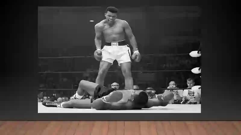 Boxer –bokschi 3