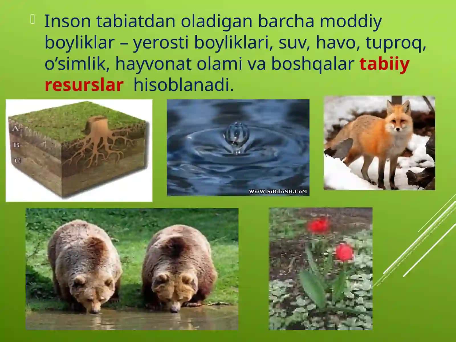 Tabiiy resurslar va ularning boyliklari 3