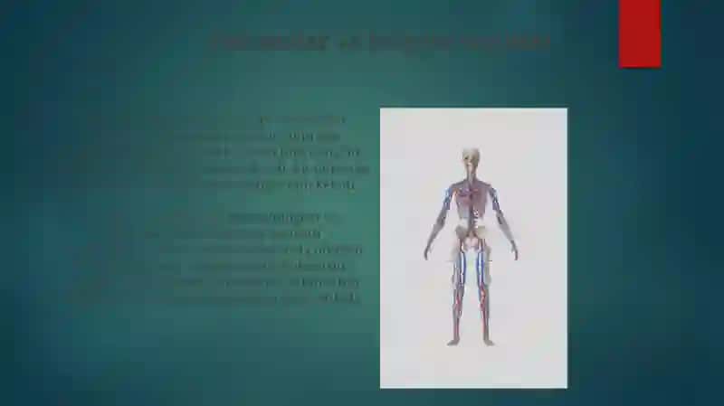 Travmalar va boʻgʻim tuzilishi 3
