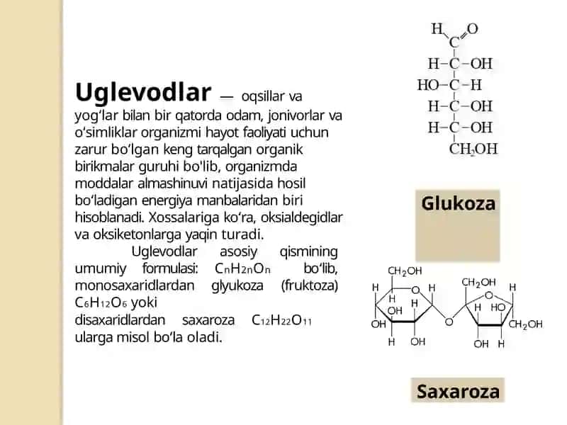 Uglevodlar almashinuvi 3