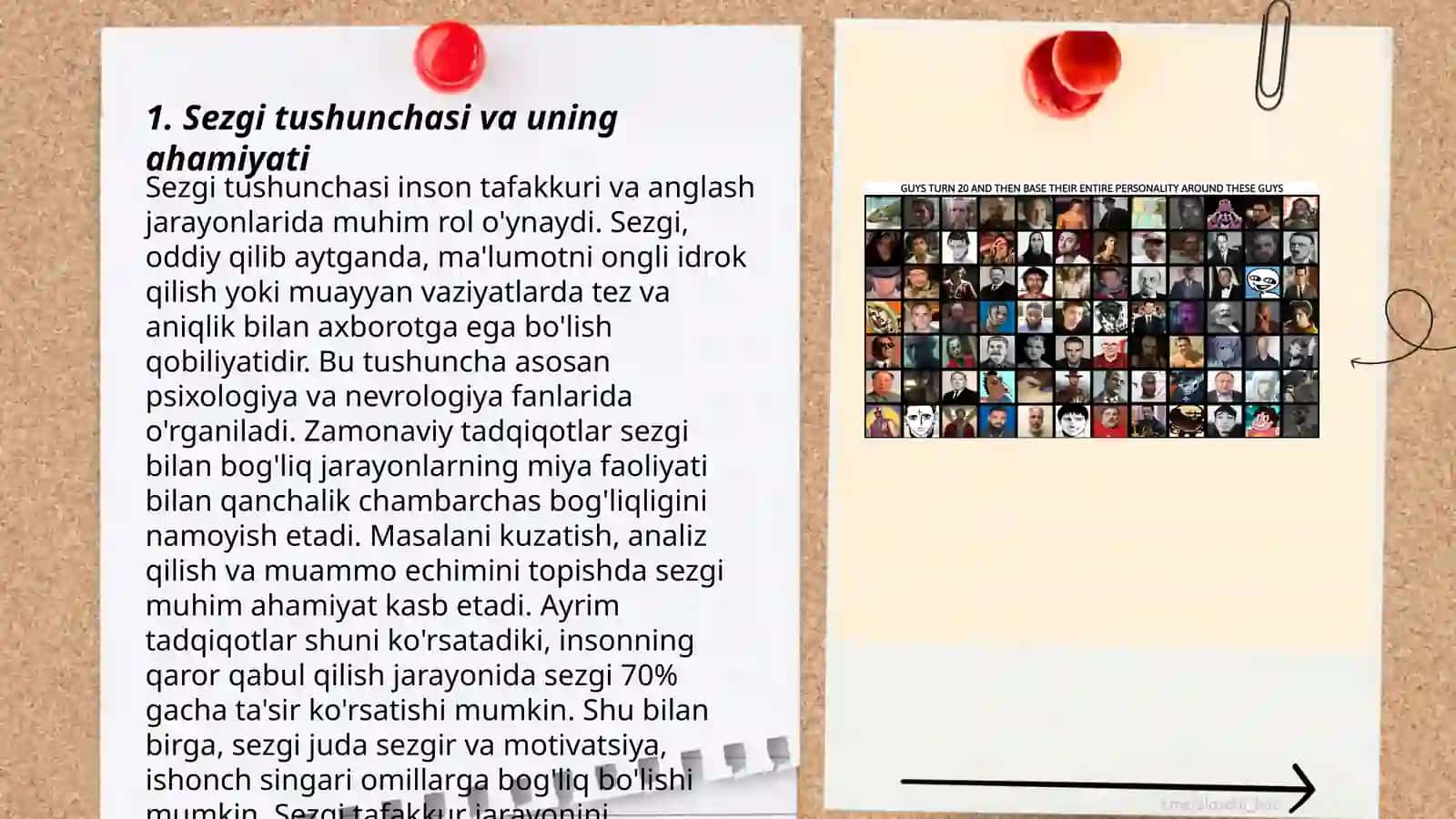 Sezgilar haqida umumiy tushuncha va nerv fiziologik asoslari 3
