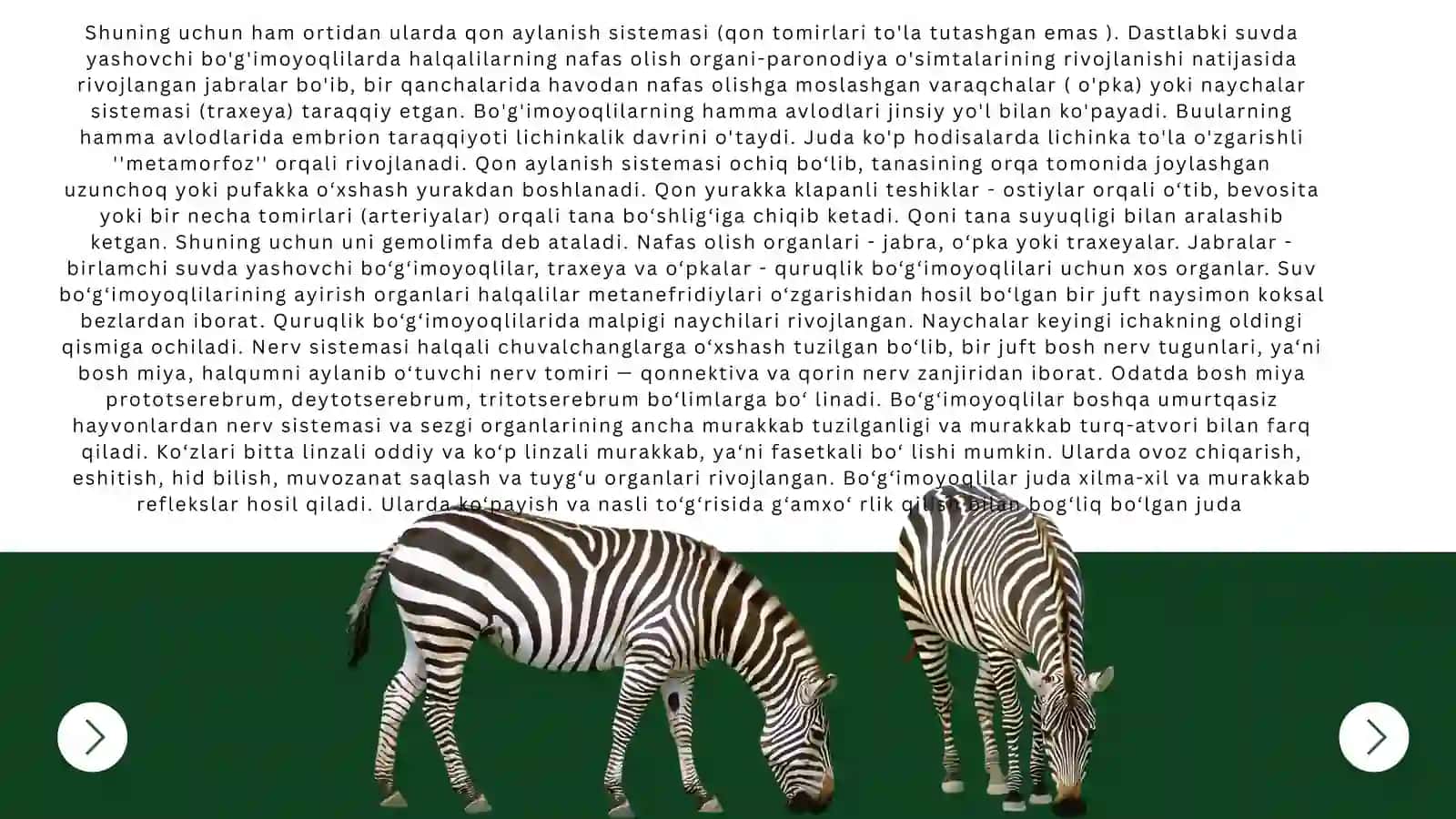 Bo'g'imoyoqlilar tipi xarakteristikasi va klassifikatsiyasi 3