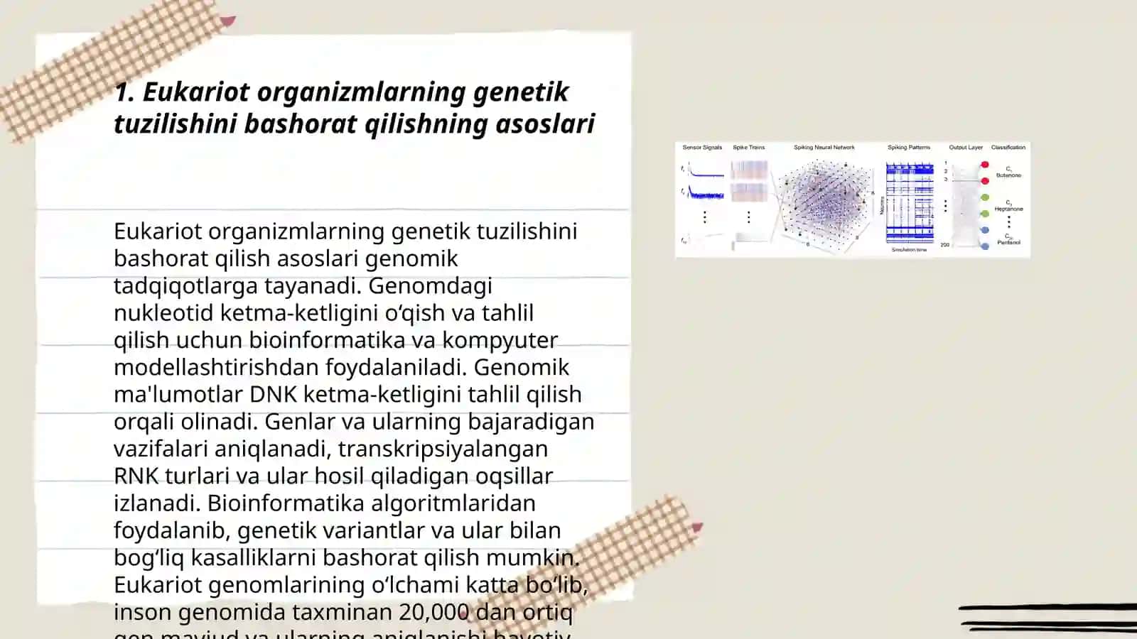Eukaroit organizm genetik strukturasini bashorat qilish 3
