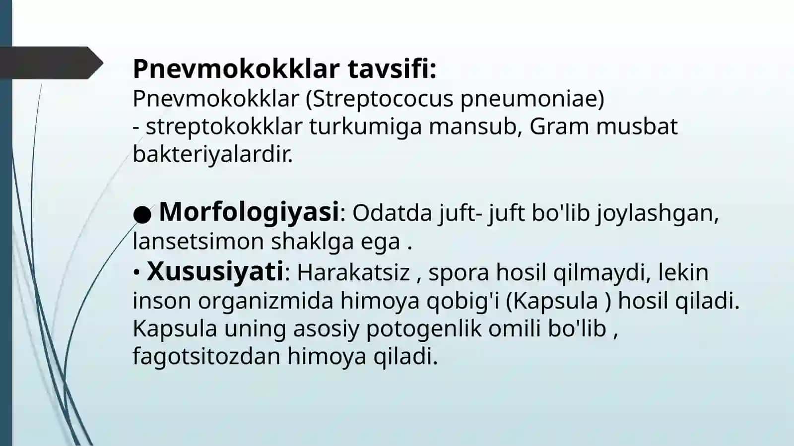 Pnevmokokk, meningokokklar tavsifi, Haemophilus influenzae keltirib chiqargan kasalliklar patogenezi, laborator tashhisi 3