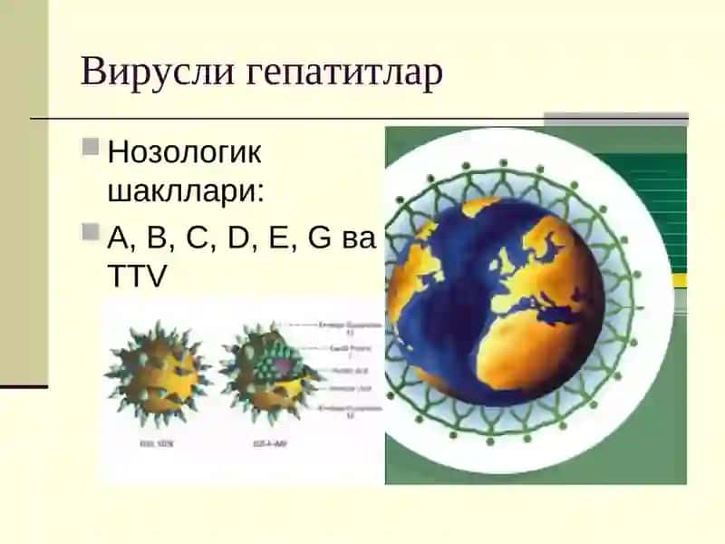 ВИРУСЛИГЕПАТИТЛАР 3