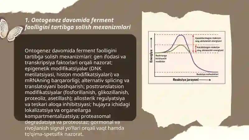 Ontogenezda fermentlar faolligini boshqarilishining ahamiyati 3