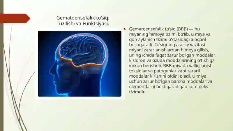 Gematoensefalik to’siq gistofiziologiyasi. 3
