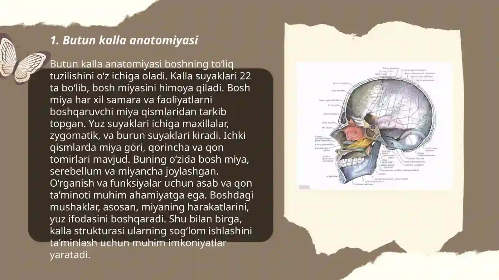 Kalla va suyagining ahamiyati 3