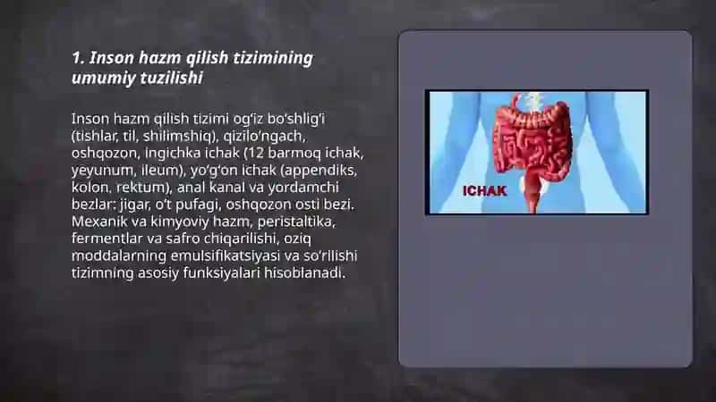 Inson hazm qilish sistemasi 3