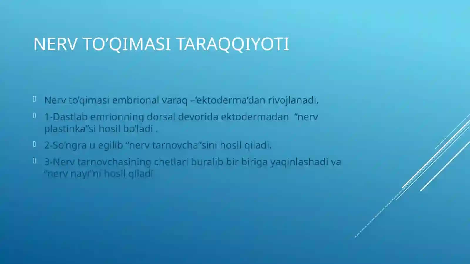 Nerv toʻqimasi 3