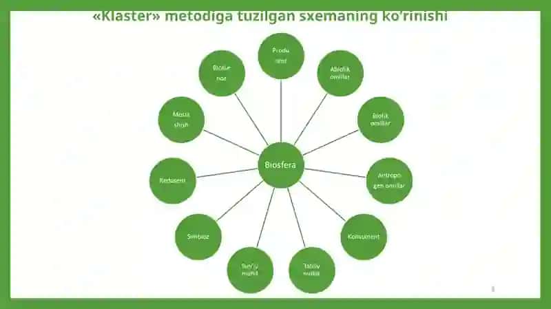 Biosfera 3