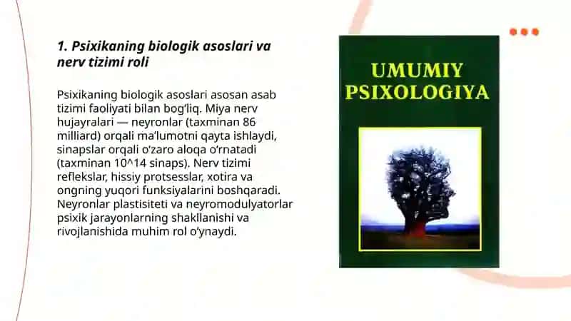 Psixikaning biologik asoslari va nerv tizimi roli 3