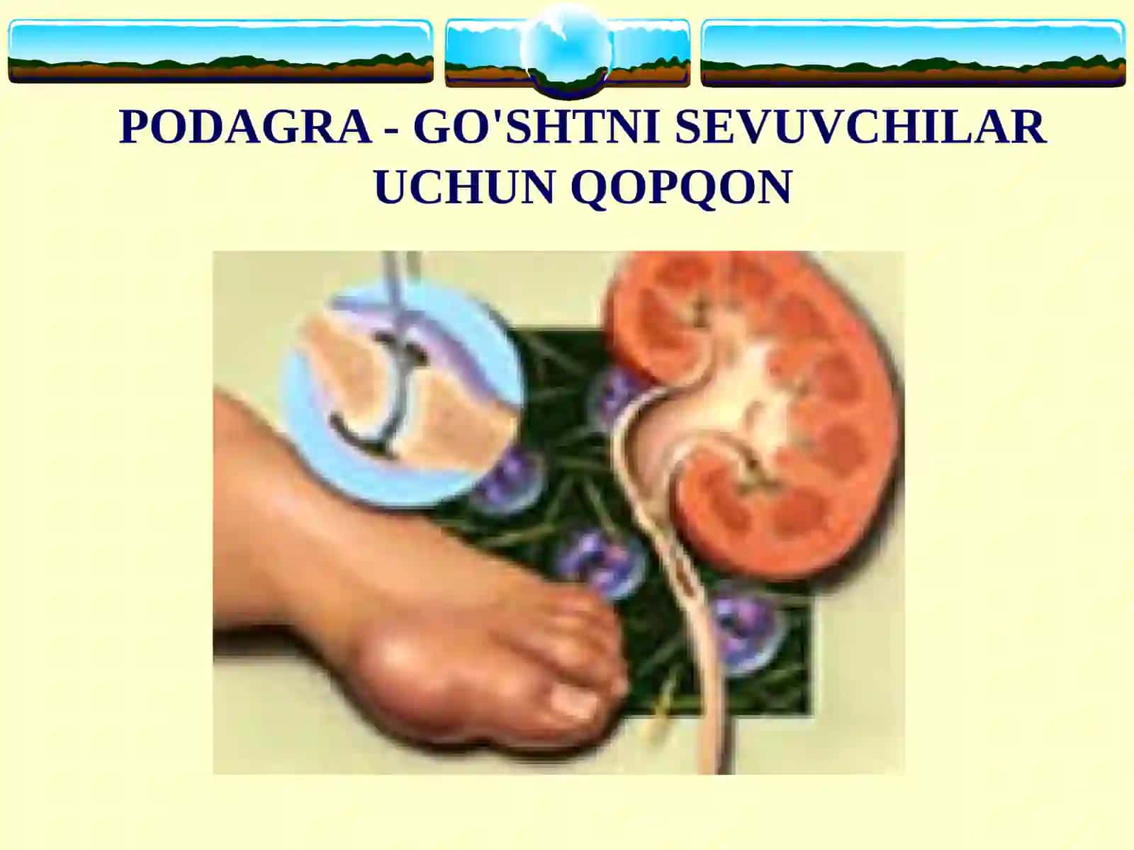 PODAGRA 3