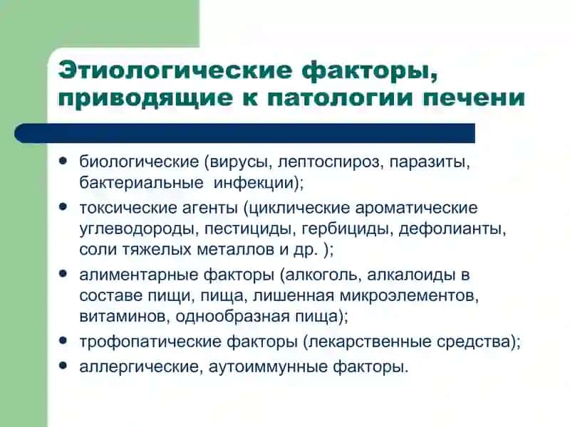Патофизиология печени 3