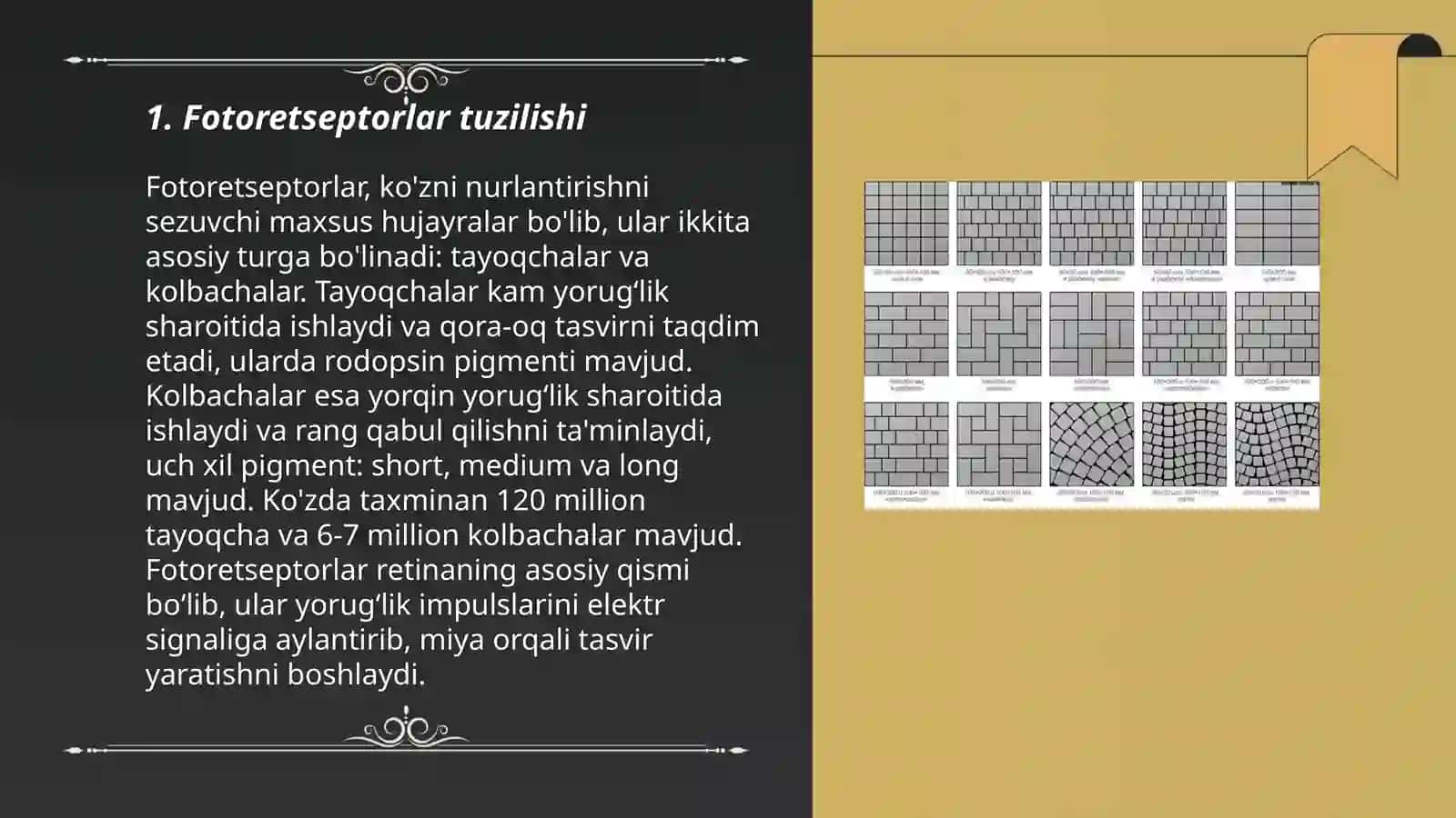 Fotoretsepsiyaning morfologik asoslari 3