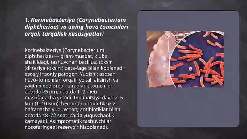 Havo tomchilari orqali yuquvchi kasalliklari (korinebakteriya mikobakteriya Tuberkuloz) 3
