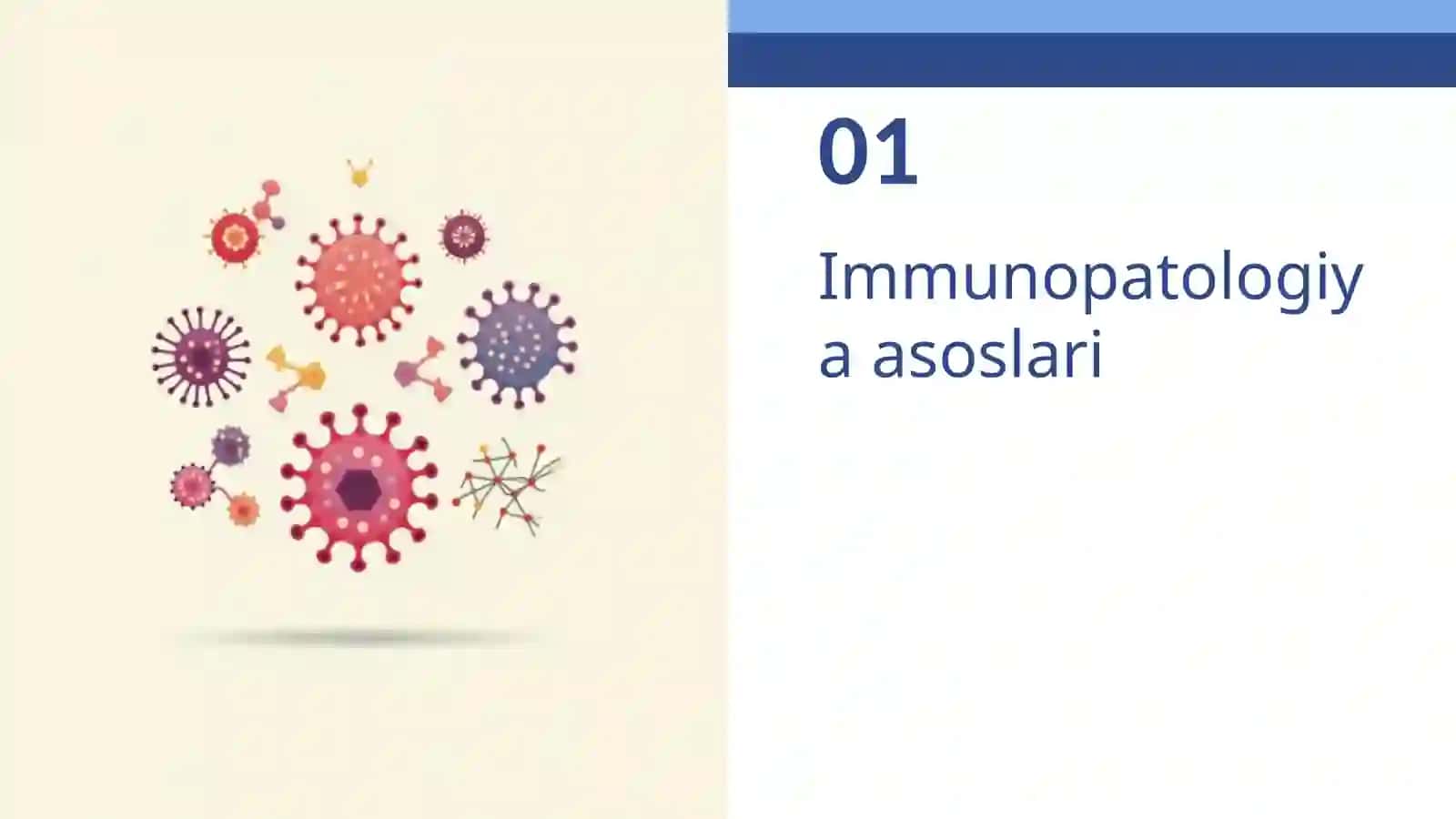 Osma hujayralar va immuntanqislik mexanizmlari 3