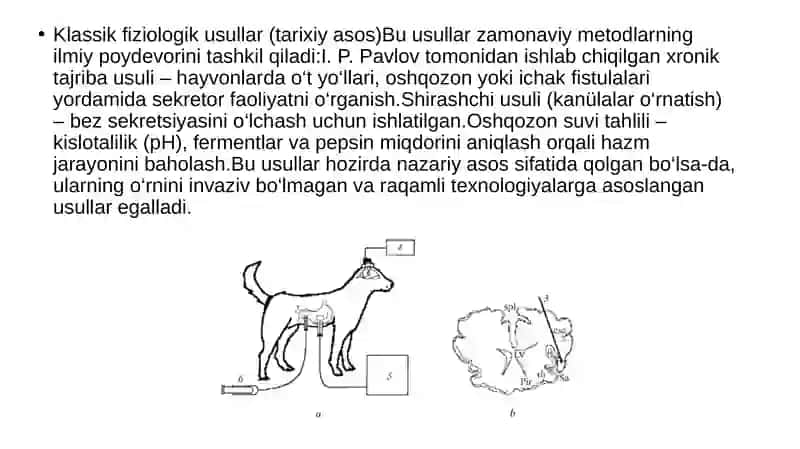 Hazm Tizimi Faoliyatini Yangi usullari 3
