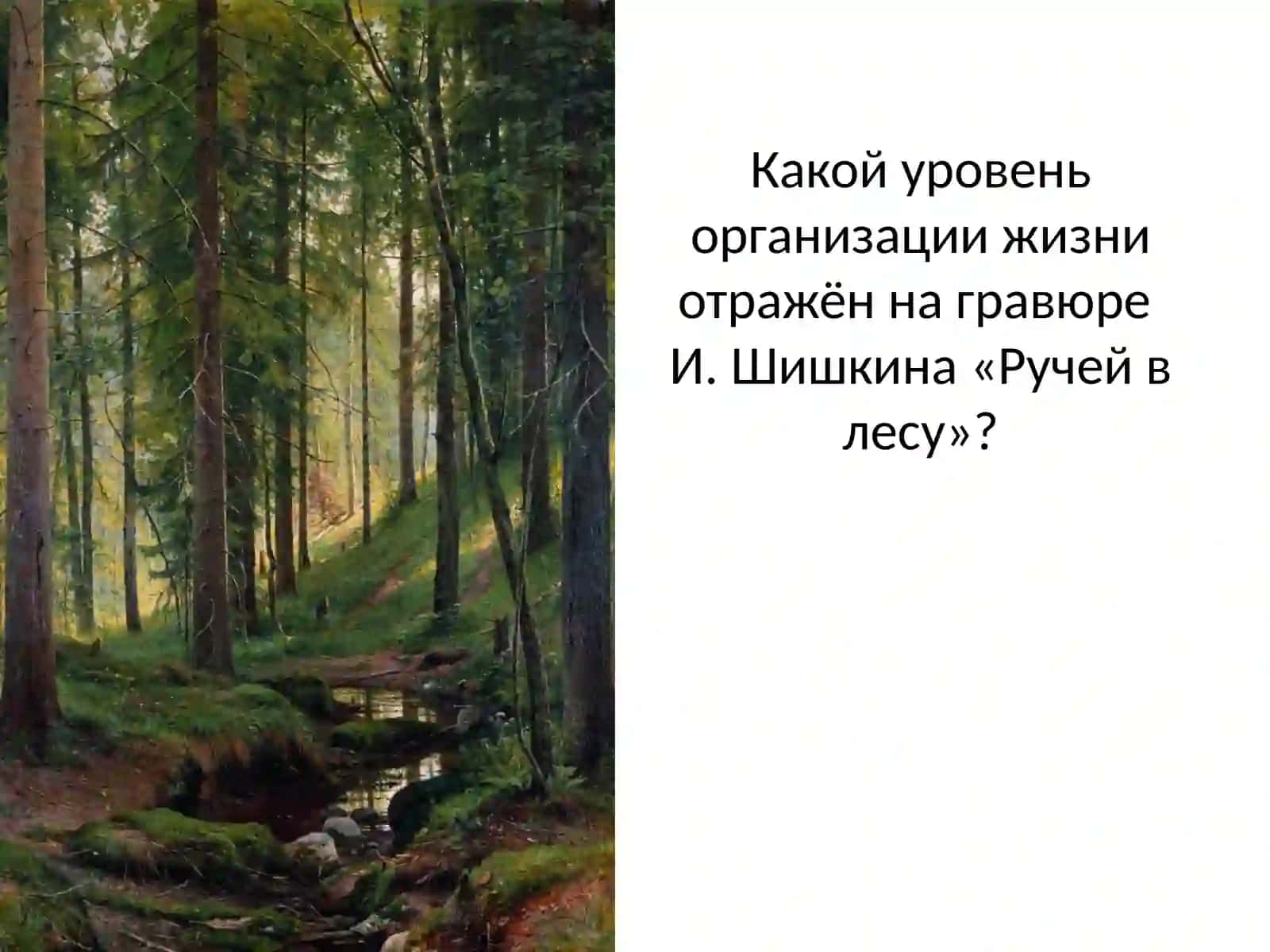 Развитие биологии в дарвиновский период 3