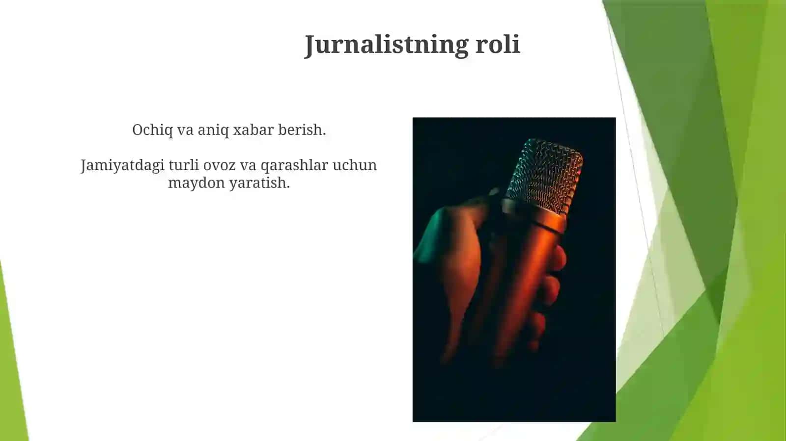 Jurnalistka 3