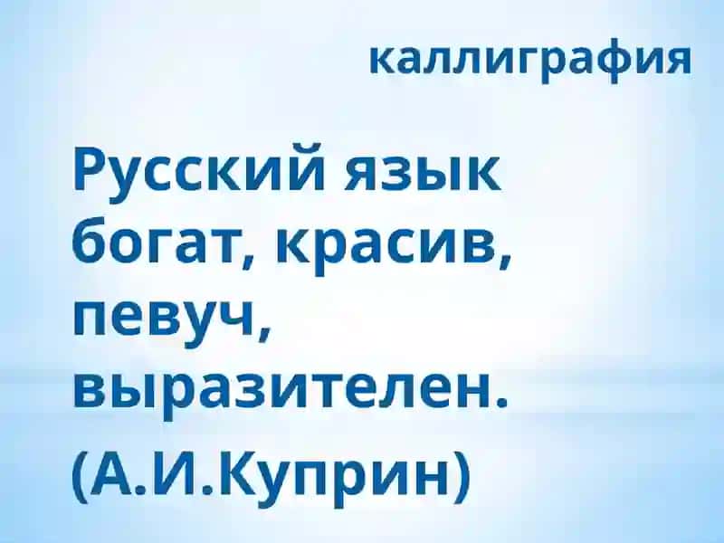 Презентация на тему Многозначные слова 3