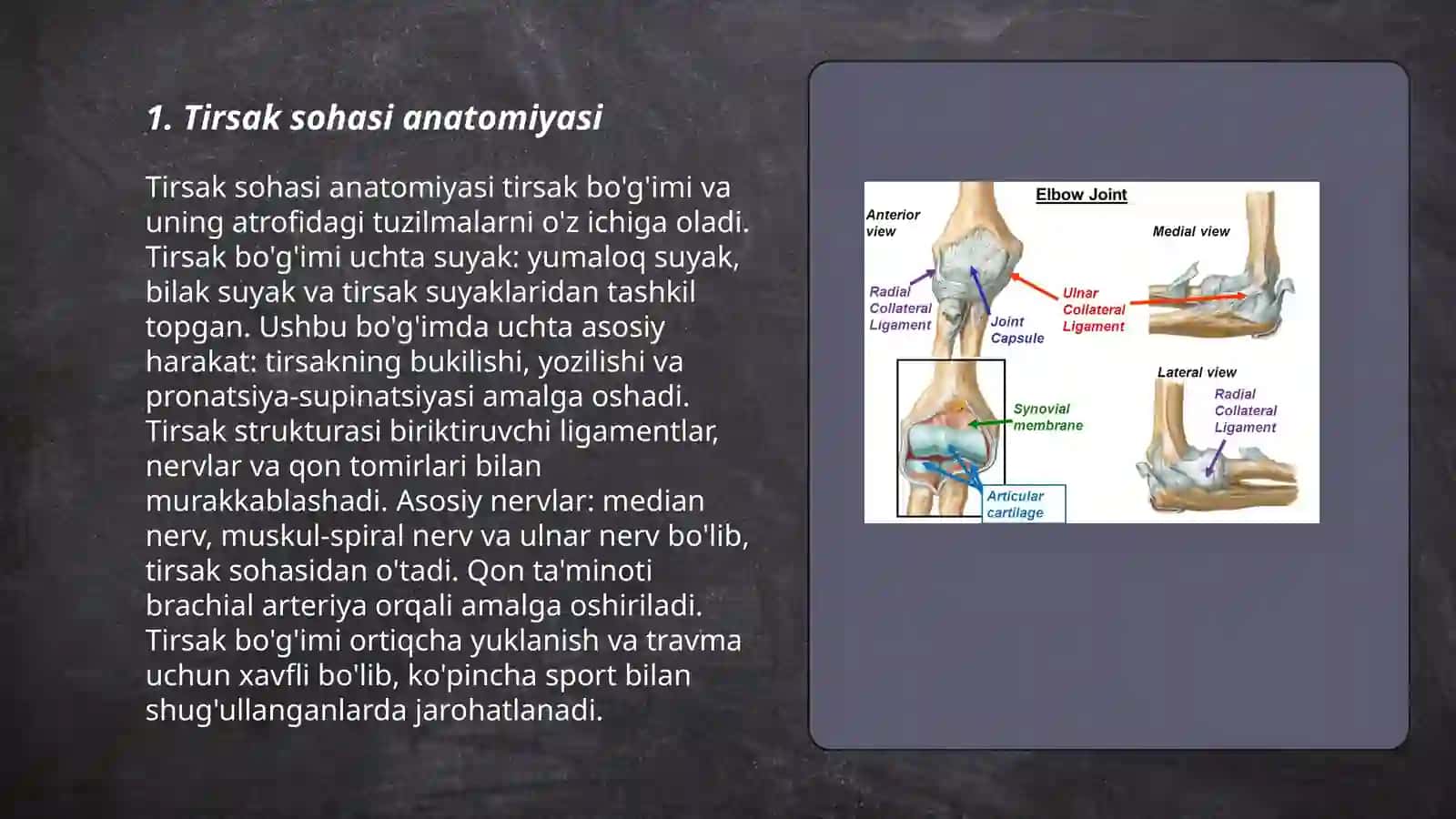 Bolalar va kattalarda tirsak sohasi, tirsak boʻgʻimi,bilak sohasi va qoʻl panjasining klinik anatomiyasi 3